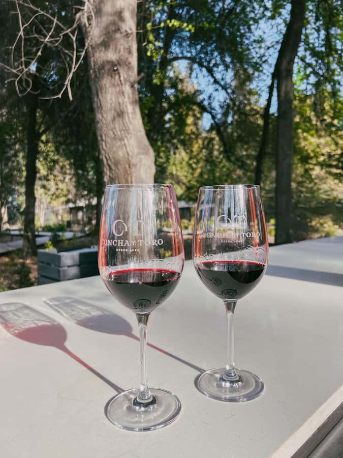 Santiago: Concha y Toro with transfer, tasting & gift cup - Language, access, and practical details