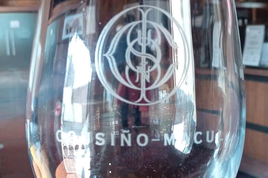 Santiago: Cousiño Macul Vineyard Premium Tasting Tour - Practical tips for a smoother visit