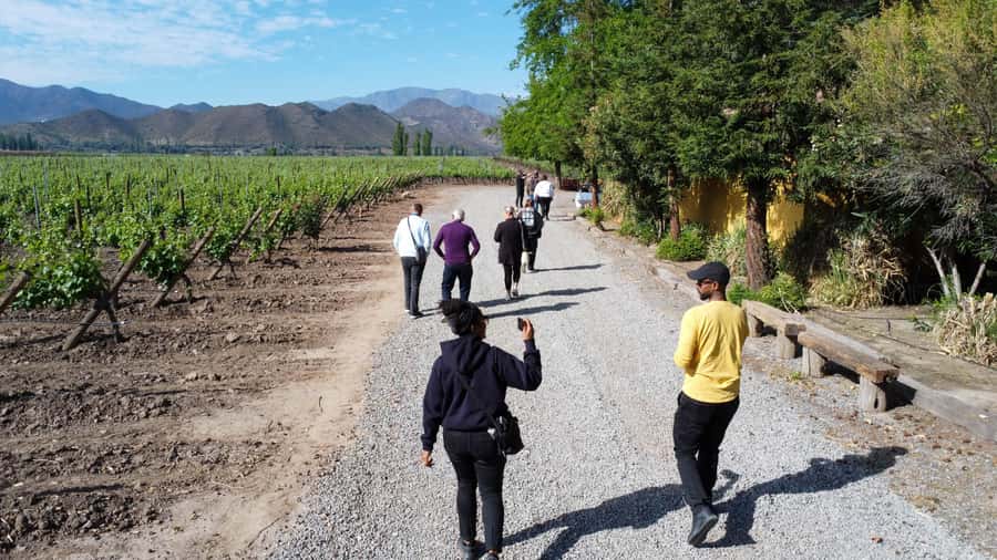 Santiago: Inca Lagoon Tour with Local Vineyard and Tasting - What the $79 price really covers
