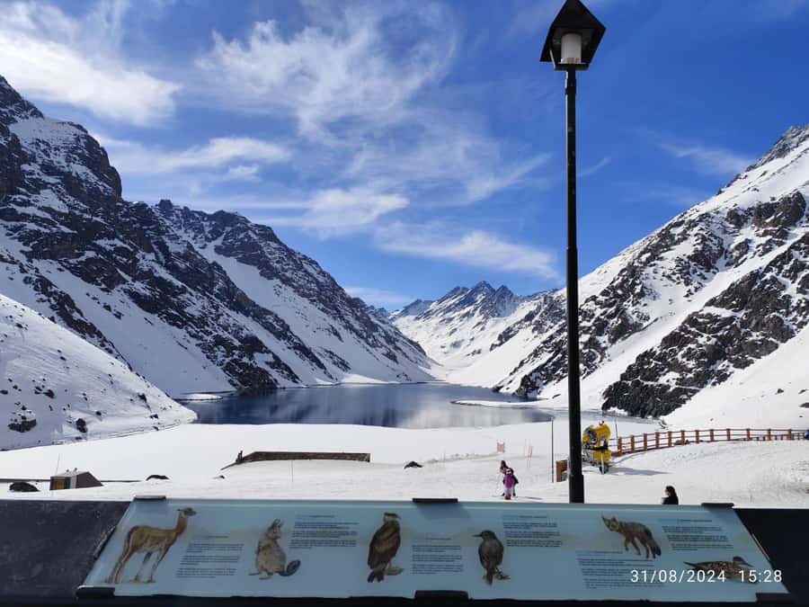 Santiago: Inca Lagoon Tour with Local Vineyard and Tasting - Viña San Esteban and a taste of Chilean wine