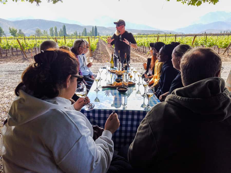 Santiago: Inca Lagoon Tour with Local Vineyard and Tasting - Los Caracoles and the Portillo climb