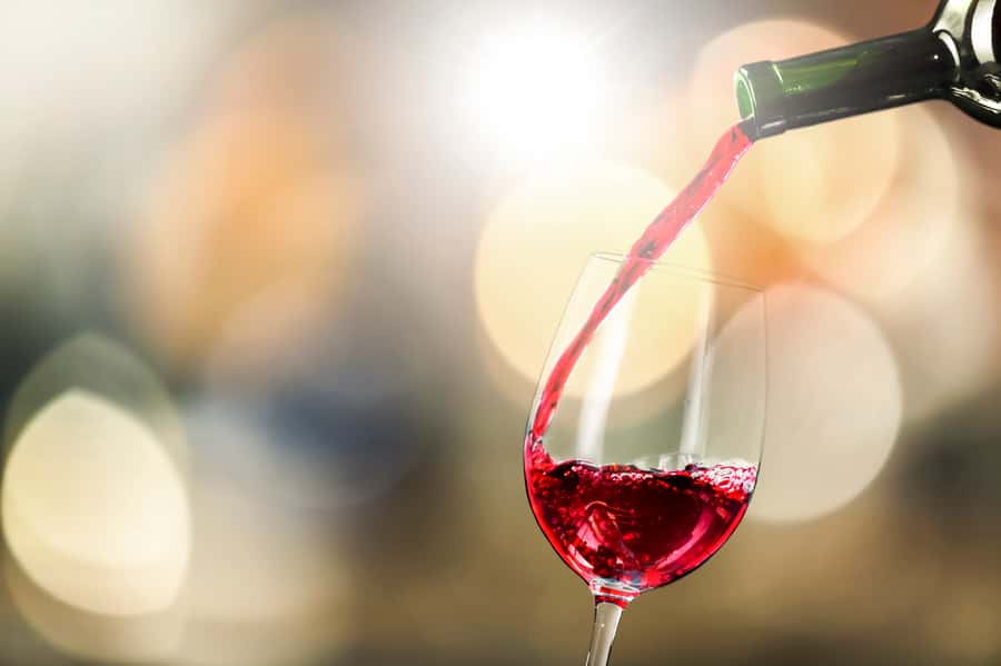 Santiago: Main Chilean Wineries Private Half-Day Tours - Choosing one winery for a five-hour tour