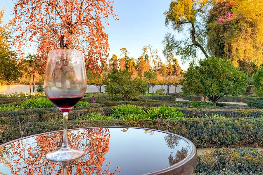 Santiago: Main Chilean Wineries Private Half-Day Tours - Santa Rita and 135 years of Maipo Valley tradition
