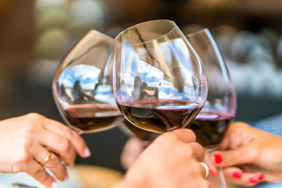 Santiago: Main Chilean Wineries Private Half-Day Tours - Cousiño Macul and an old Chilean cellar