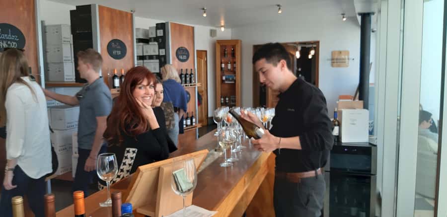 Santiago: Main Chilean Wineries Private Half-Day Tours - What the morning pickup adds to the experience