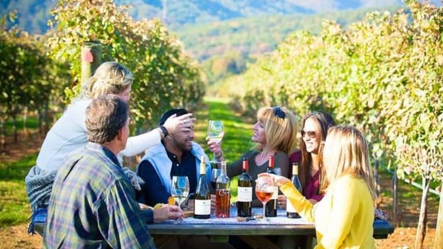 Santiago: Maipo Valley Wine Tasting Tour with 4 Vineyards - Campo La Quirinca brings wine down to earth