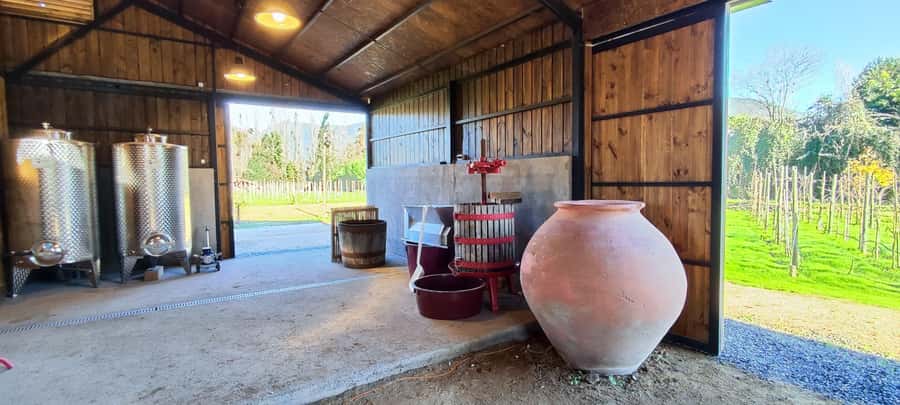 Santiago: Maipo Valley Wine Tasting Tour with 4 Vineyards - How much wine and food should you expect?
