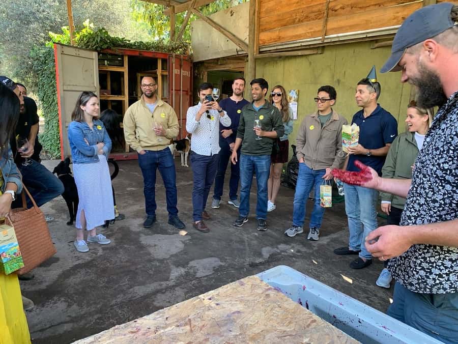 Santiago: Maipo Valley Wine Tasting Tour with 4 Vineyards - Is the $134 price good value?