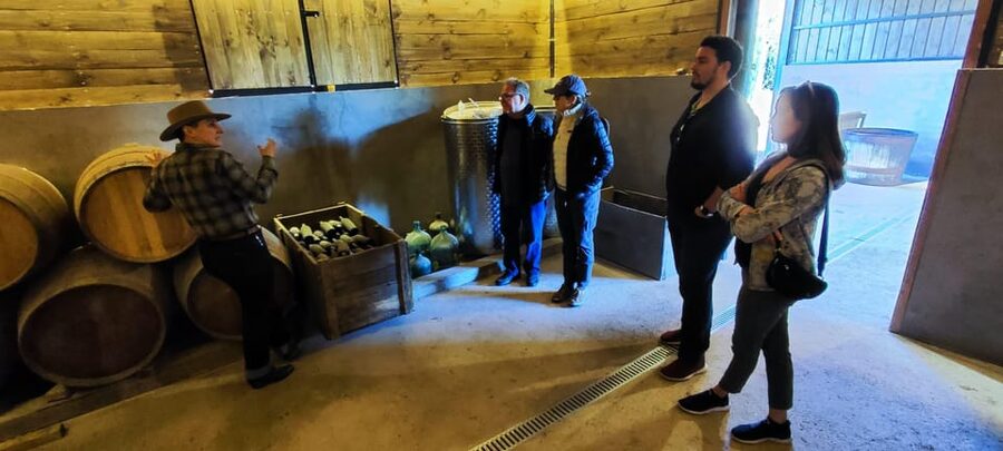 Santiago: Maipo Valley Wine Tasting Tour with 4 Vineyards - Who will enjoy this Maipo Valley day?
