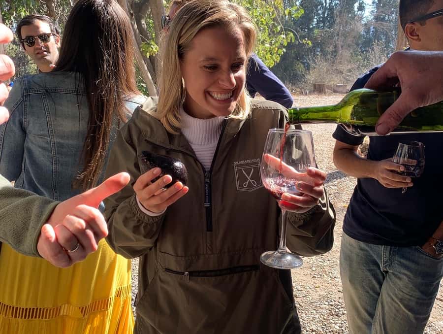 Santiago: Maipo Valley Wine Tasting Tour with 4 Vineyards - Santa Ema offers a polished tasting