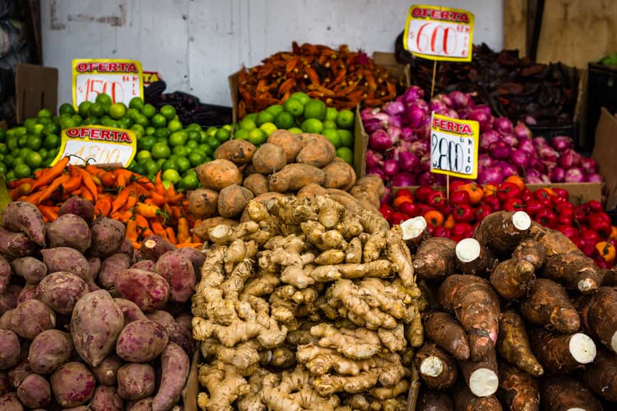 Santiago: Markets Bike Tour - Key points to know before you book