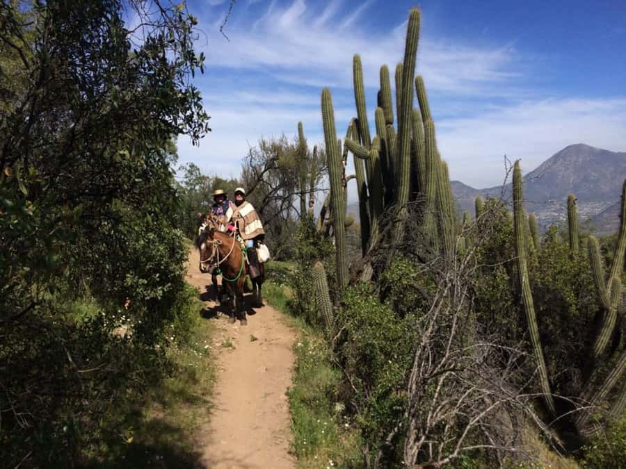 Santiago: Private Andes Foothills Horseback Riding. Half day - Leaving Santiago for the Andes foothills