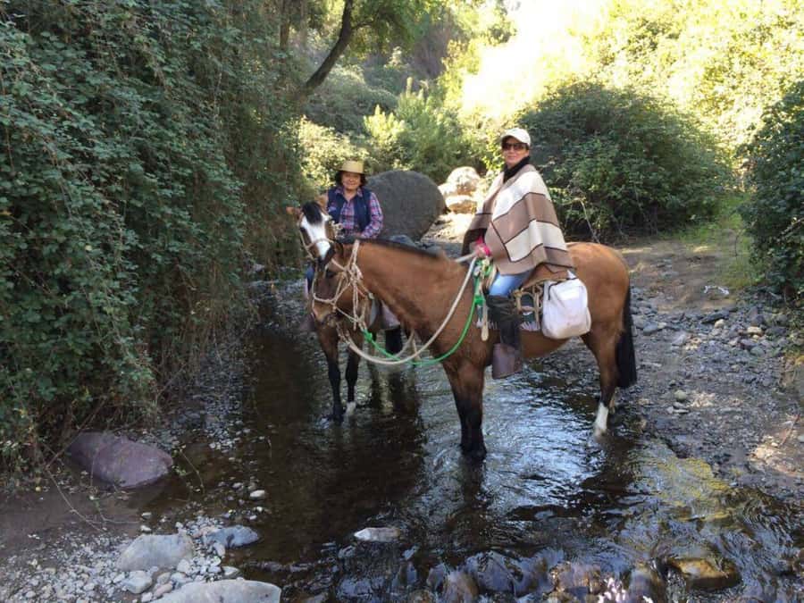 Santiago: Private Andes Foothills Horseback Riding. Half day - What the $250 price really covers