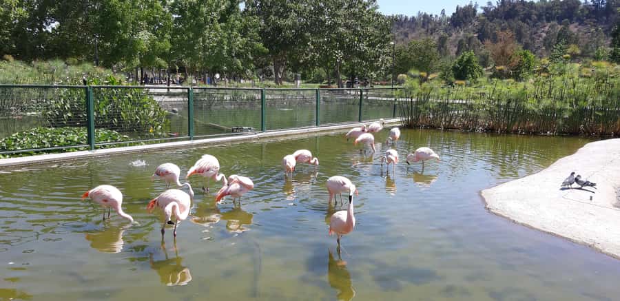 Santiago: Private Half-Day City Tour - Parks, Museums, and the City’s Everyday Rhythm