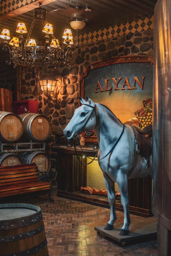 Santiago: Sunset at Vinicola Alyan Family - Six tastings, with room to return to favorites