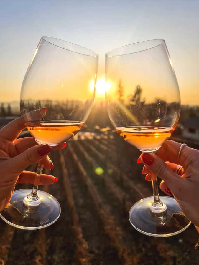 Santiago: Sunset at Vinicola Alyan Family - Sunset at the end of the winery visit