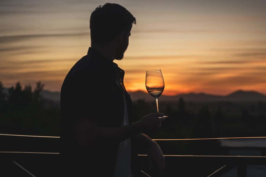 Santiago: Sunset at Vinicola Alyan Family - Who should book this adult-only outing?