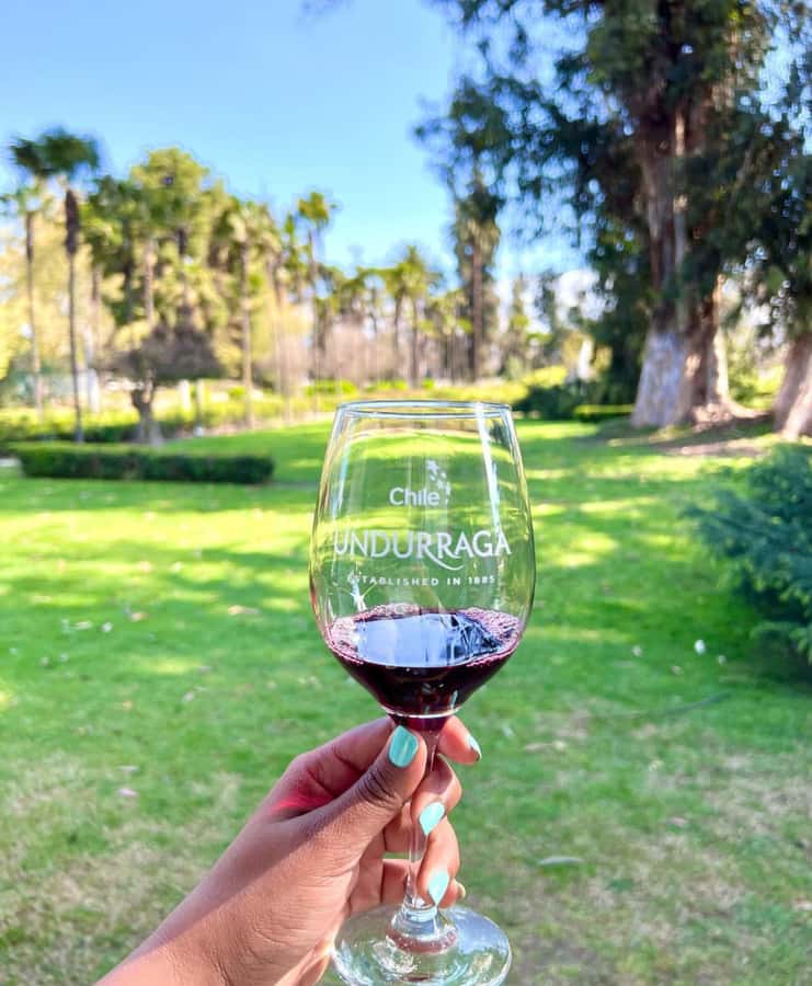 Santiago: Tour to Isla Negra, Algarrobo and Undurraga Wines - Should you book this Santiago day trip?