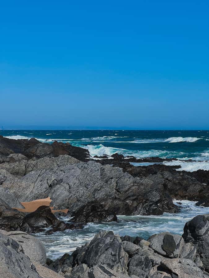 Santiago: Tour to Isla Negra, Algarrobo and Undurraga Wines - Isla Negra: Pablo Neruda’s house beside the Pacific
