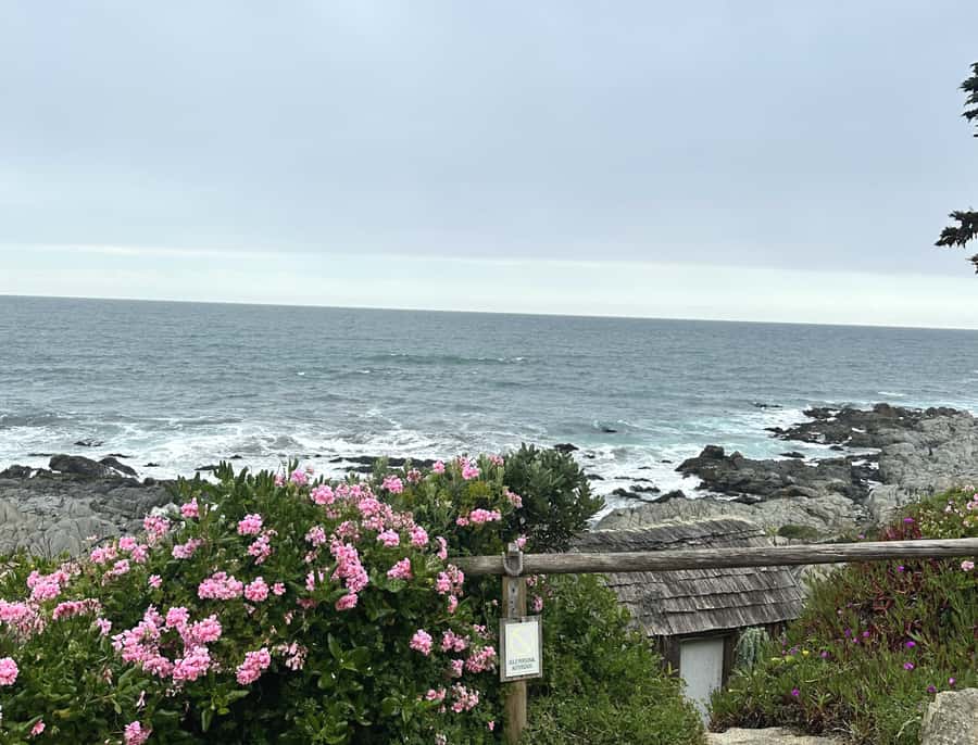 Santiago: Tour to Isla Negra, Algarrobo and Undurraga Wines - How the seven hours feel
