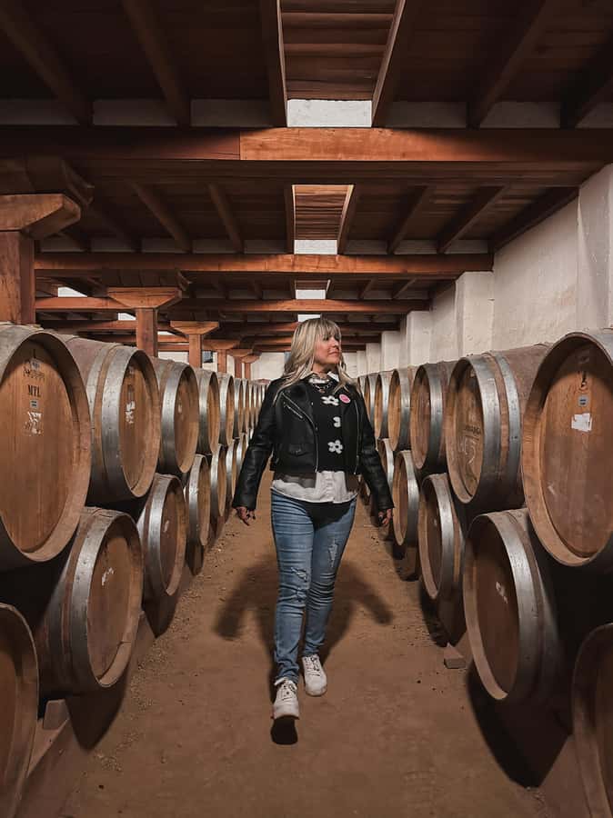 Santiago: Tour to Isla Negra, Algarrobo and Undurraga Wines - Undurraga Winery: gardens, cellars, and Chilean wine