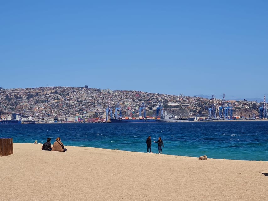 Santiago: Tour to Valparaiso and Casablanca - Who will enjoy this outing most