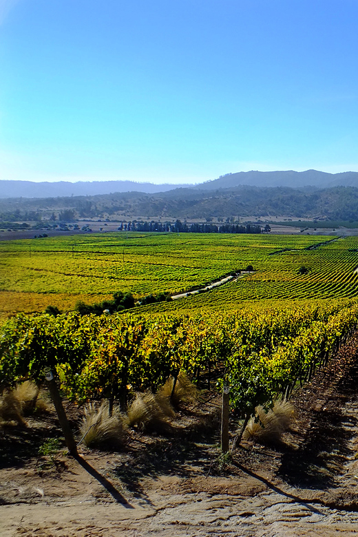 Santiago: Tour to Valparaiso and Casablanca - Should you book this Valparaiso and Casablanca tour?