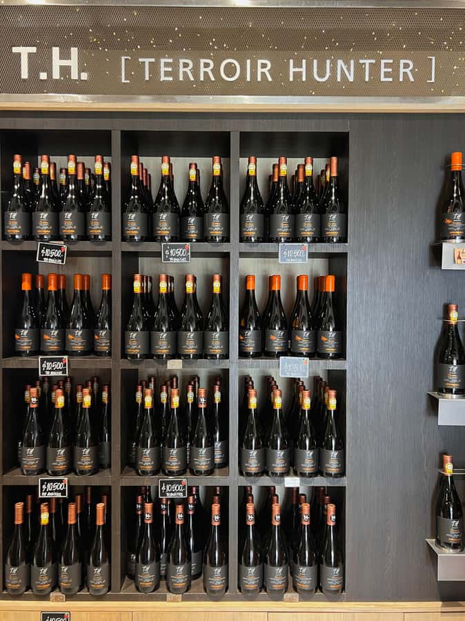 Santiago: Undurraga Winery Tour with Entry and Wine Tasting - Timing, languages, and access