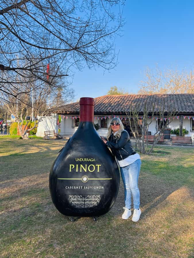 Santiago: Undurraga Winery Tour with Entry and Wine Tasting - Why Undurraga makes a good first winery visit