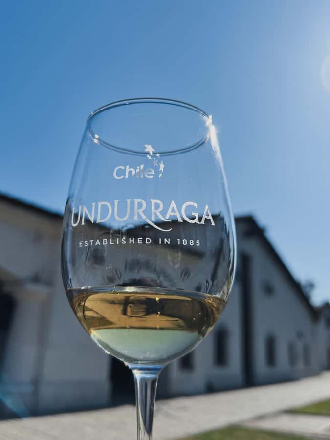 Santiago: Undurraga Winery Tour with Entry and Wine Tasting - Cellars, production, and the Mapuche museum