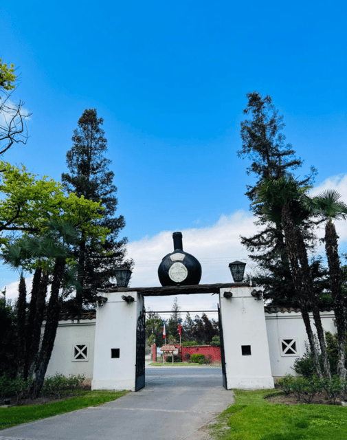 Santiago: Undurraga Winery Tour with Entry and Wine Tasting - The shop and the final half-hour