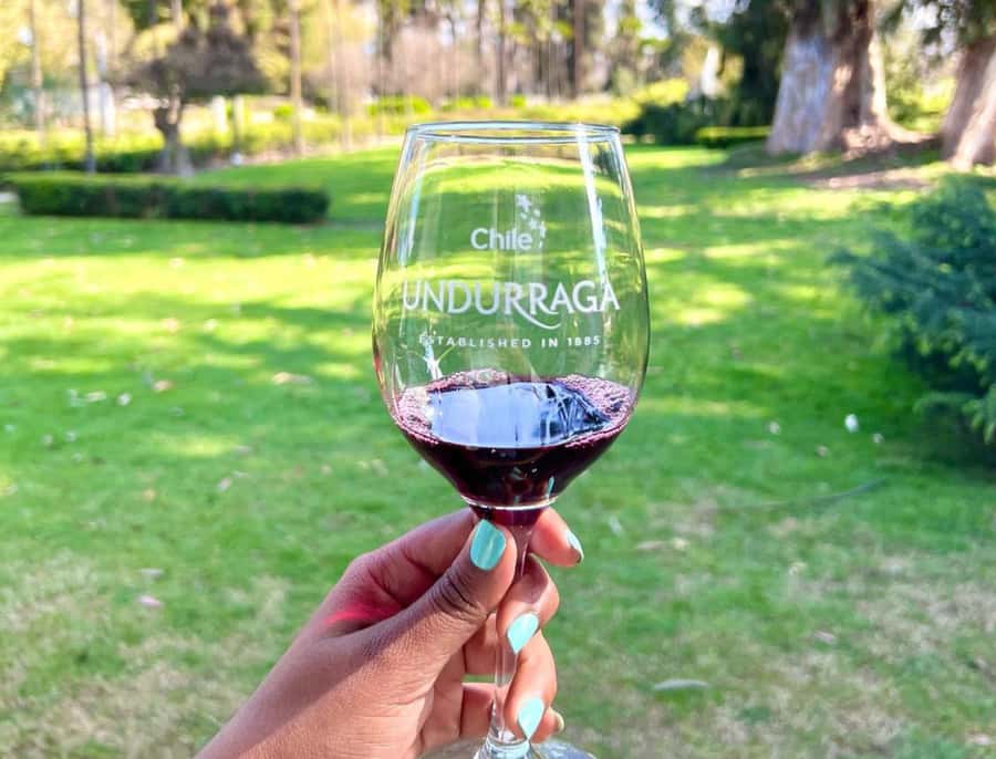Santiago: Undurraga Winery Tour with Entry and Wine Tasting - Is the $63 price fair?