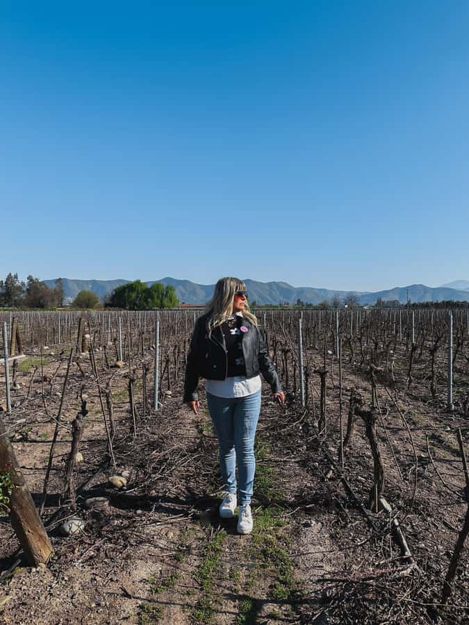 Santiago: Undurraga Winery Tour with Entry and Wine Tasting - Who will enjoy this tour most