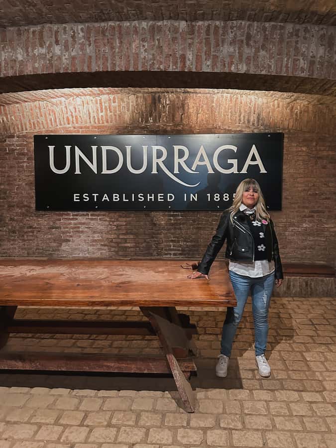 Santiago: Undurraga Winery Tour with Entry and Wine Tasting - The ride from Santiago to Fundo Santa Ana