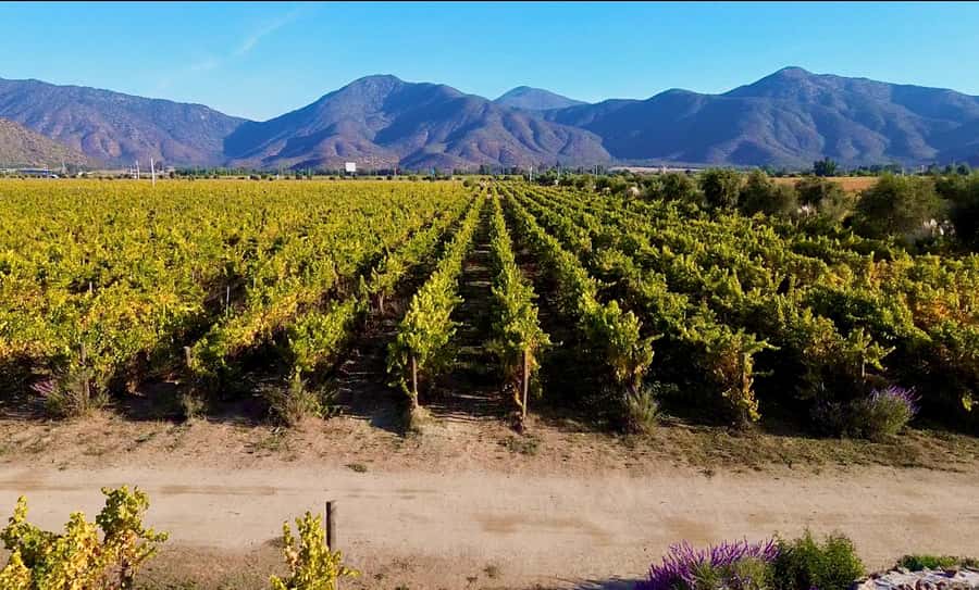 Santiago: Valparaiso, Viña del Mar, & Casablanca Valley Tour - Why this day trip works from Santiago