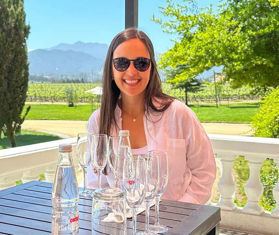 Santiago: World-class Wines, Visit to 4 Vineyards and Tanino - Key points to know before booking