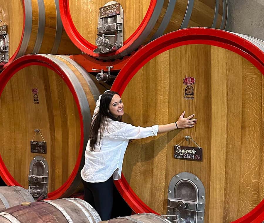 Santiago: World-class Wines, Visit to 4 Vineyards and Tanino - Why this Casablanca Valley day works well