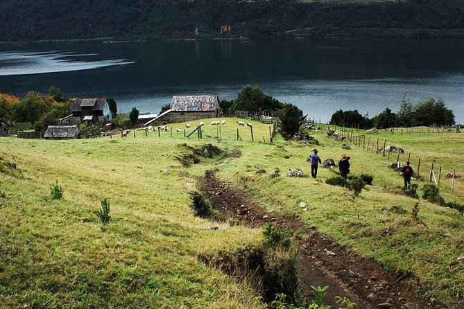 Sea Kayaking the first fjord of Patagonia - Starting at 8:30 am near Ensenada