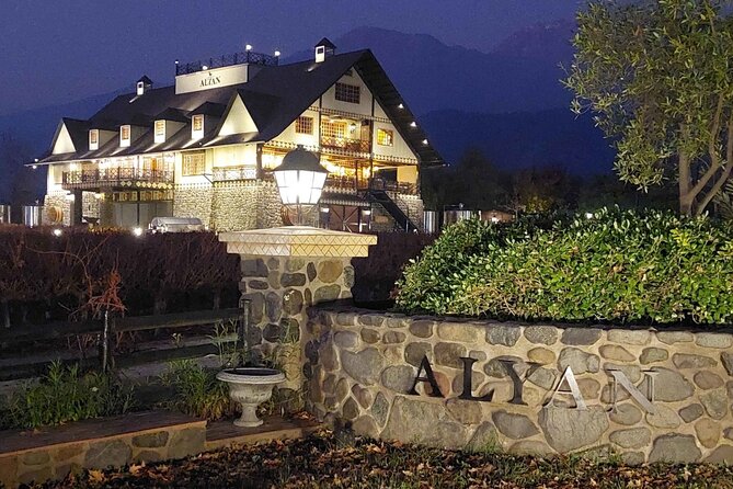 Sunset Alyan + 6 wines + individual snack + rustic dinner - Six wines and a generous snack table
