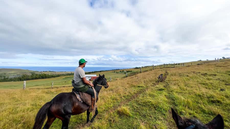 Terevaka Horse Excursion: The highest point and 360° view. - Why Terevaka is the right ride for island-wide views