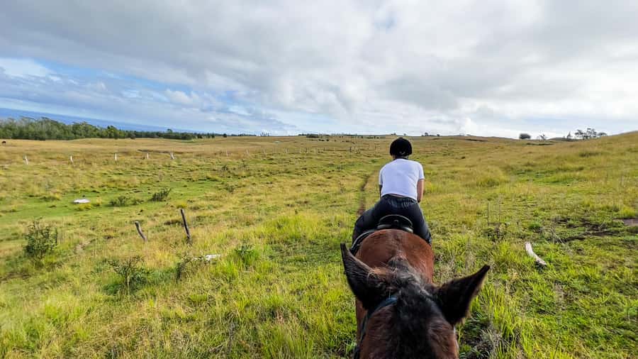 Terevaka Horse Excursion: The highest point and 360° view. - Reaching Terevaka and its 360-degree view