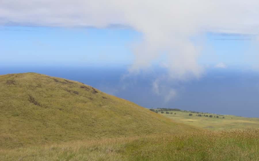 Terevaka Horse Excursion: The highest point and 360° view. - A picnic with a practical catch