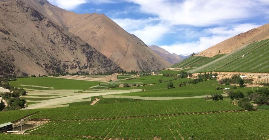 The Magnificient Elqui Valley Grand Tour - Why the Elqui Valley deserves a full day