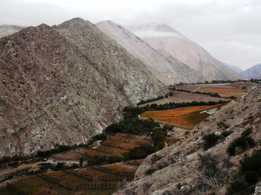 The Magnificient Elqui Valley Grand Tour - Pisco Elqui and the valley’s craft tradition