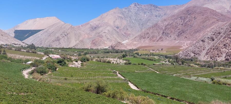The Magnificient Elqui Valley Grand Tour - Starting from La Serena and heading inland