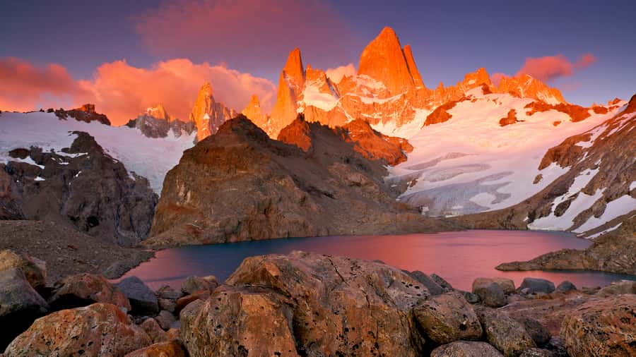 Torres del Paine Day Trip from El Calafate - Lake Nordenskjold and Laguna Amarga