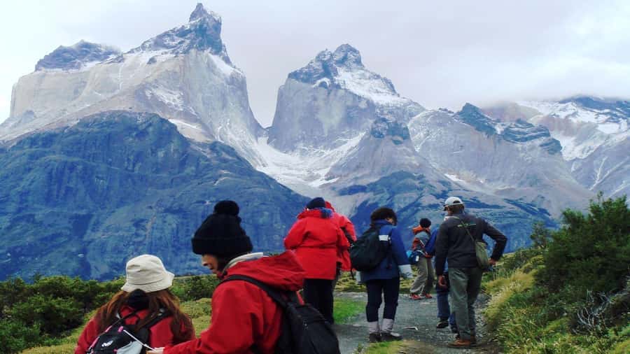 Torres del Paine Day Trip from El Calafate - Inside Torres del Paine: big views, little time