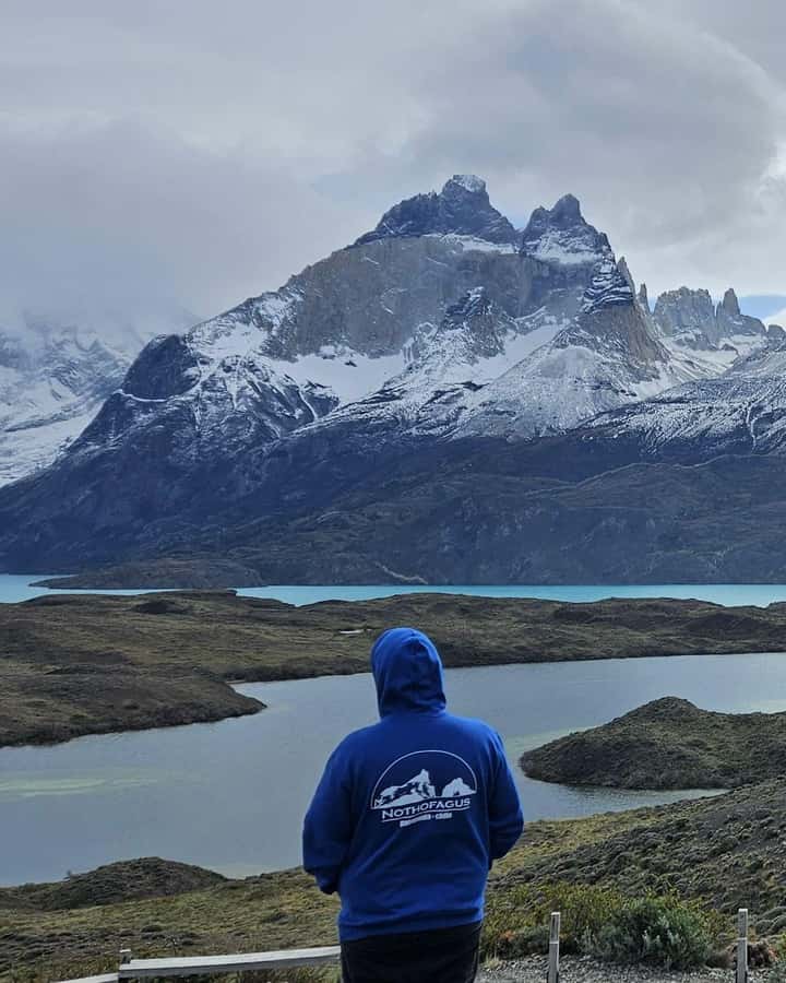 Torres del Paine: Full Day Excursion Torres del Paine + Milodon Cave. - Sarmiento Lake and the first view of the Paine peaks