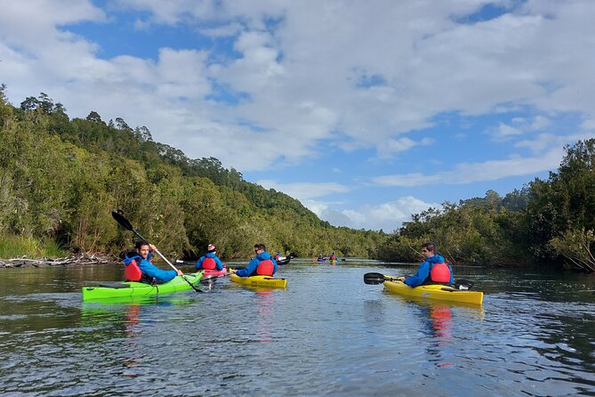 Tour Guiado en Kayak por Rio Maullin / Medío dia en Pto. Varas - What the $115 price includes