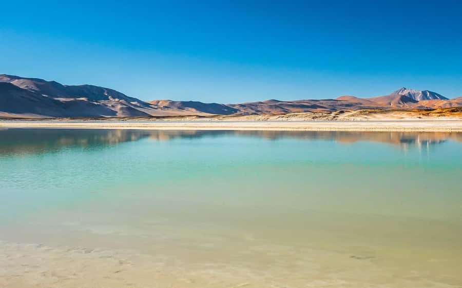 Tour Piedras Rojas + Altiplanic Lagoons + Chaxa Lagoon - Key points at a glance